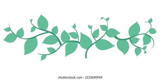 Horizontal banner with tree branch and green lea. For background, footer, or nature design. cartoon hand drawing