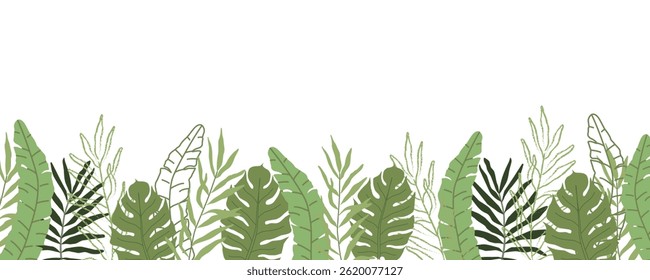 Horizontal banner with tropical green leaves on white background. Vector foliage border in flat and hand-drawn style. Perfect for eco design, invitations, packaging, and nature themes.
