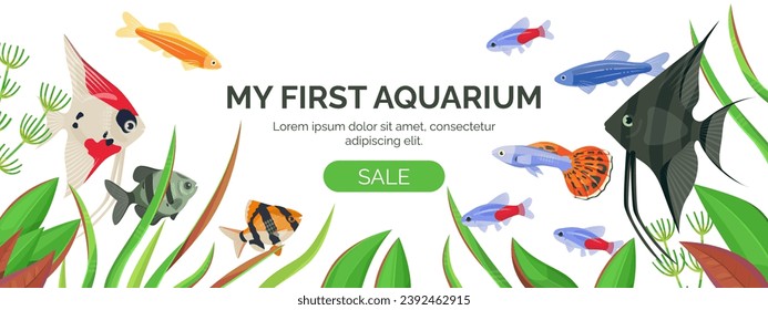 Horizontal banner with various aquarium fish and algae on a white background with space for text.