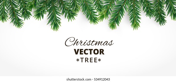 Horizontal banner with vector christmas tree branches and space for text. Realistic fir-tree border, frame isolated on white. Great for christmas cards, banners, flyers, party posters, headers.