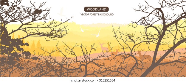 Horizontal banner of wild deer in forest.