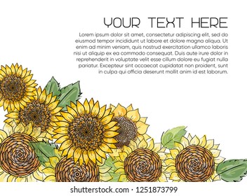 Horizontal banner with yellow sunflowers hand drawn in sketch style on white background. Natural vintage greeting card with place for text. Vector illustration