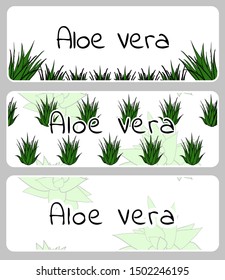 Horizontal banners, buisness card template with aloe vera plants. Isolated vector illustration with green stains on white background