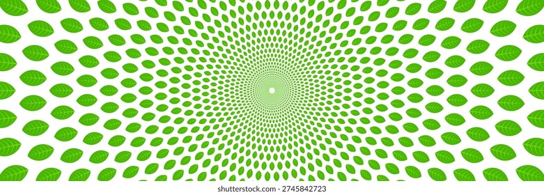 horizontal beautiful spin green leaves on white for background and design.