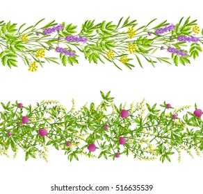 Horizontal blooming herbs and wild flowers border seamless pattern set isolated on white background flat vector illustration