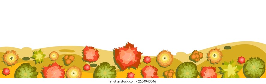 Horizontal border Autumn landscape top view. Scene with yellow and orange trees and bushes in forest from height. Above countryside. Cartoon style illustration. Isolated on background. Vector