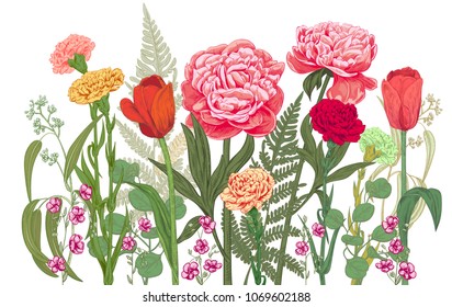 Horizontal border: carnation, peony, tulip, chamomile, fern, eucalyptus. Red, pink, yellow flowers, leaves, white background. Panoramic view. Hand draw botanical sketch illustration, vintage, vector