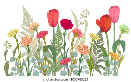 Horizontal border with carnation, tulips, fern, eucalyptus. Red, pink flowers, green leaves on white background. Panoramic view. Hand draw botanical sketch illustration, vintage, vector