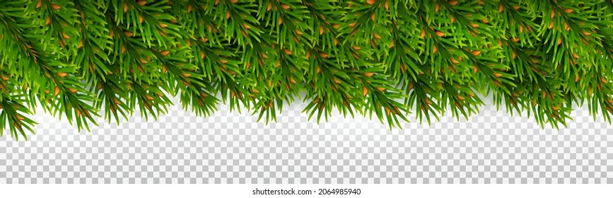 Horizontal border from evergreen spruce branches. For Christmas decorations and greeting card designs. Isolated over white background. Realistic vector illustration.