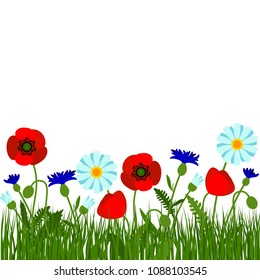 Horizontal border with field flowers isolated on white. Vector illustration. Summer flowers design.