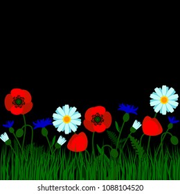 Horizontal border with field flowers isolated on black. Vector illustration. Summer flowers design.