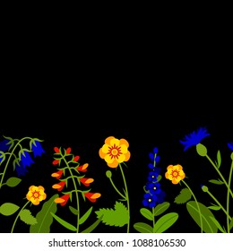 Horizontal border with field flowers isolated on black. Vector illustration. Summer flowers design.