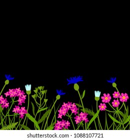 Horizontal border with field flowers isolated on black. Vector illustration. Summer flowers design.