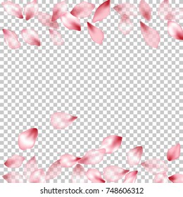 Horizontal border of flying petals isolated on transparent grid invitation background, flower parts wedding decorative frame. Pink blossom elements, flower petals valentines day background border.