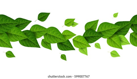 Horizontal border with green leaves on white background. Fresh foliage. Vector illustration. Spring is coming concept, environment and ecology frame.