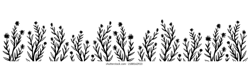 Borde horizontal con flores dibujadas a mano sobre fondo blanco. Ilustración vectorial.