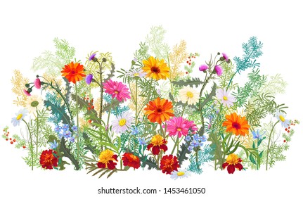 Horizontal autumn’s border: marigold  thistles  gerbera  daisy flowers  small green twigs  red berries white background  Digital draw  illustration in watercolor style  panoramic view  vector
