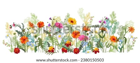 Horizontal autumn’s border: marigold, thistles, gerbera, daisy flowers, small green twigs, red berries on white background. Digital draw, illustration in watercolor style, panoramic view, vector