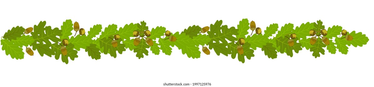 Horizontal border of oak leaves and acorns. Vector stock illustration. Isolated on a white background. oak leaves, horizontal pattern, decorative floral ornament, frame, border, color illustration