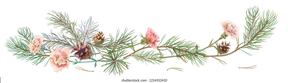 Horizontal border with pine branches, cones, white carnation schabaud on white background, hand digital draw, watercolor style, decorative botanical illustration for design, Christmas tree, vector