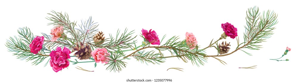 Horizontal border with pine branches, cones, red carnations schabaud on white background, hand digital draw, watercolor style, decorative botanical illustration for design, Christmas tree, vector