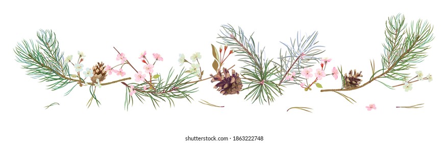 Horizontal border with pine branches, cones, spring blossom. Needles on white background, hand digital draw, watercolor style, decorative botanical illustration for design, Christmas tree, vector