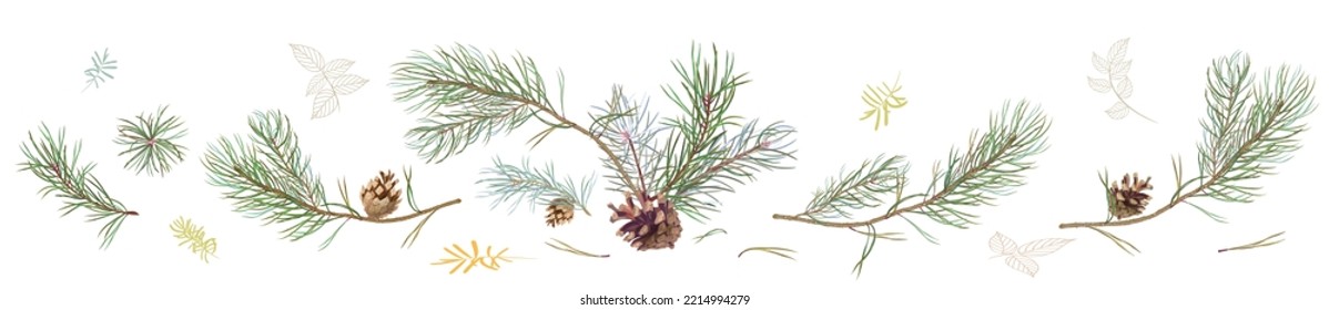 Horizontal border with pine branches and cones, needles on white background, hand digital draw, watercolor style, decorative botanical illustration for design, Christmas tree, vector