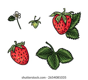 Borda horizontal com morangos maduros, folhas verdes e flores em um fundo branco. Quadro de verão fresco para cartões, convites ou embalagens.