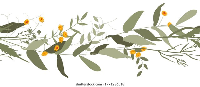 Borde horizontal sin fisuras de margaritas anaranjadas flores y hierbas en un estilo acuarela sobre fondo blanco. Hermosa plantilla de tarjeta de invitación a boda floral. Elemento dibujado a mano vectorial para el diseño de impresión.