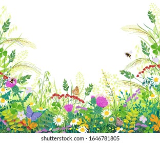 Horizontal border with summer meadow plants. Green grass, colorful flowers, butterflies and bumblebees on white background with space for text. Floral natural backdrop vector flat illustration.