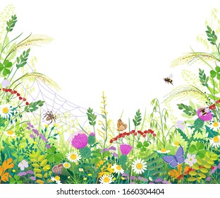 Horizontal border with summer meadow plants. Green grass, colorful flowers, butterfly, bumblebee, spider on web on white background, space for text. Floral natural backdrop vector flat illustration.