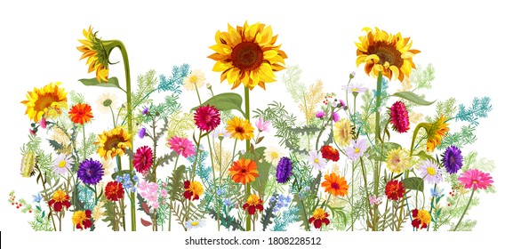 Horizontal autumn’s border: sunflowers  aster  thistles  gerbera  marigold  daisy flowers  small green twigs white background  Digital draw  illustration in watercolor style  panoramic view  vector