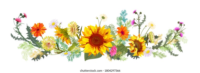 Horizontal autumn’s border: sunflowers, yellow asters, thistles, gerbera, daisy flowers, small green twigs on white background. Digital draw, illustration in watercolor style, panoramic view, vector