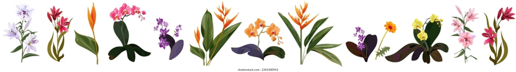 Horizontal border with tropical flowers: purple, yellow orchids, red and white lilies, Bird of paradise (Heliconia), orange daisy. Panoramic view. Realistic botanical illustration in watercolor style