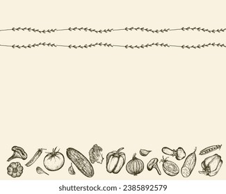 Horizontal border of Vegetables sketch with delicate Floral border. Hand-drawn Harvest on beige background. Vector illustration