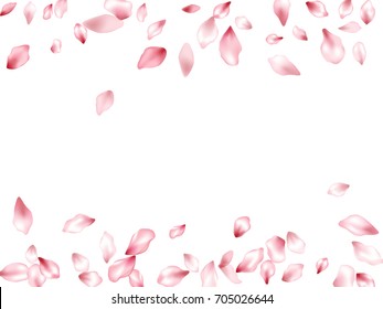 Horizontal borders of blossom flying petals isolated on white invitation background, flower parts wedding decorative frame. Pink blossom elements, flower petals valentines day background border.