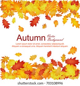 Horizontal borders of oak leaf abstract background seasonal vector illustration. Autumn leaves falling frame design. Fall season specific vector background. Oak tree autumn foliage border on white.