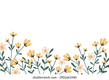 Horizontal botanical backdrop with border of delicate blooming yellow flowers. Floral flat vector illustration isolated on white background