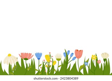 Horizontal botanical background with a set of spring summer flowers. Floral flat vector illustration isolated on white background