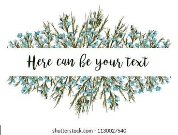 Horizontal botanical vector design banner or wedding invitation. blue wax flowers (Chamaelaucium) isolated on white background. All elements are editable