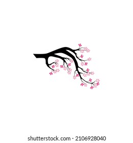 Horizontal branch of cherry blossoms. Realistic vector illustration on isolated background.