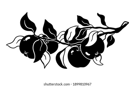 Horizontal branch with hanging apples, curved leaves. Hand drawn silhouette. Garden fruit. Black simple illustration. Botanic print for farm product packaging, tattoo, poster. Graphic isolated vector