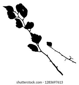Horizontal branch with leaves. Vector isolated illustration. Autumn. Summer. Postcard. Black color.