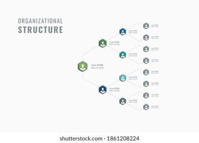 Horizontal business hierarchy of the company template. Multicolor hexagonal elements with person symbols, names and job positions on a white background. Vector organizational structure. Eps 10