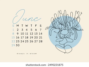 Horizontal calendar page for June 2025 with summer honeysuckle flower. Isolated on beige background. Week starts on Sunday. Vector illustration line art