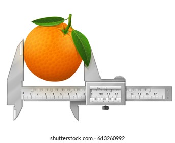 Horizontal caliper measures orange fruit. Concept of orange with leaves and measuring tool. Vector illustration