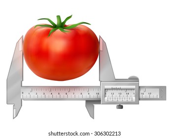 Horizontal caliper measures tomato fruit. Concept of tomato and measuring tool. Vector illustration