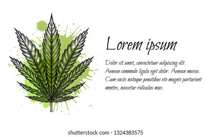 Horizontal card template with leave of marijuana with hatching and watercolor splashes.  Vector engraving element for menus, articles, cards and your creativity