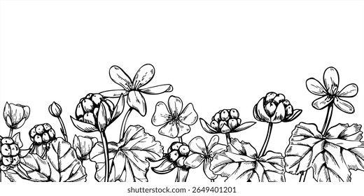 Borda de ramificação de amora-branca horizontal na ilustração de vetor monocromático pintada por tintas pretas. Desenho de gravura de baga de pântano nórdico para embalagem cosmética orgânica, rótulo de boticário, design de produto de beleza.