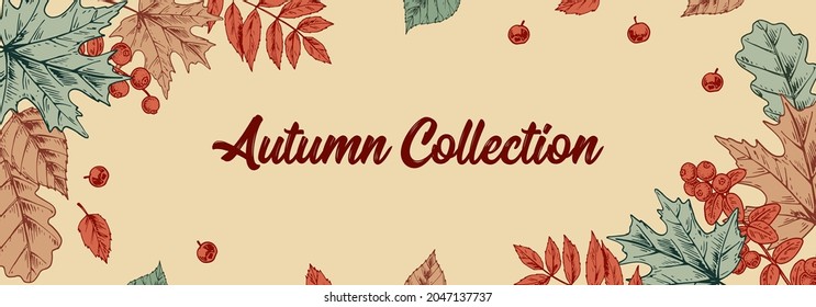 Horizontal colorful Autumn design with leaves and berries. Hand drawn vector illustration. Hello Autumn